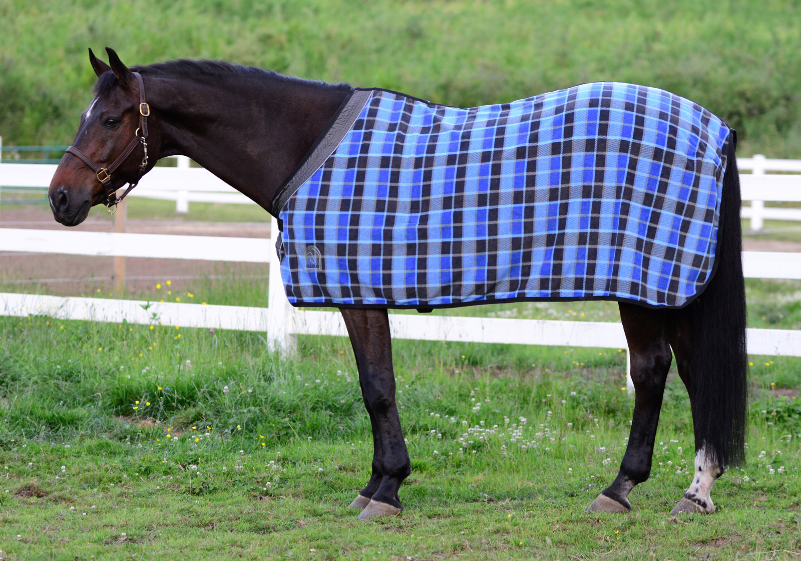 EOUS Plaid Fleece Horse Cooler Equisupplies, LLC